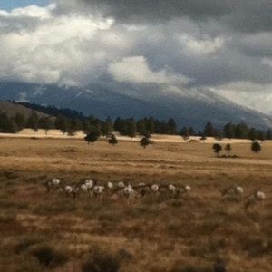 Meet your Posher, Colleen